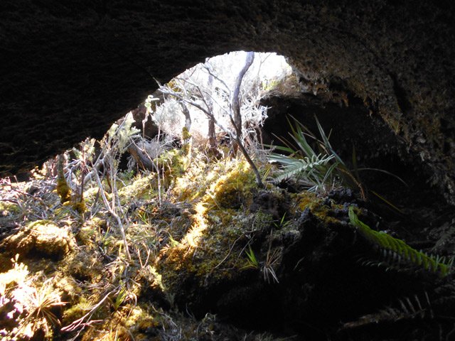 On tient debout dans presque toutes les cavités