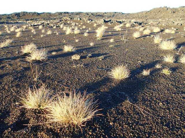 Le soleil à l'horizon crée des ombres très longues près du GRR2