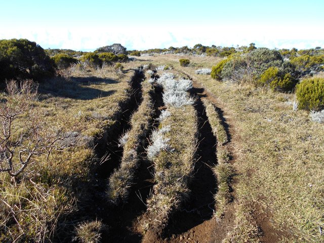 Des générations de randonneurs ont laissé quelques indices de leur passage