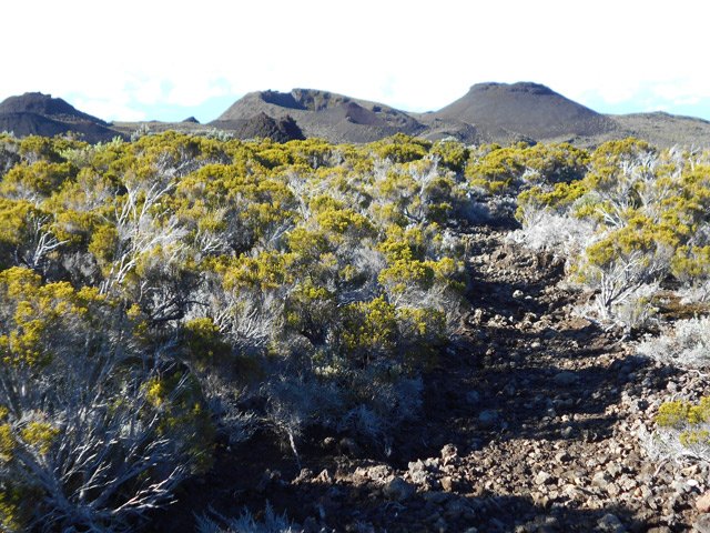 Le sentier, le plus souvent caillouteux fatigue les chevilles