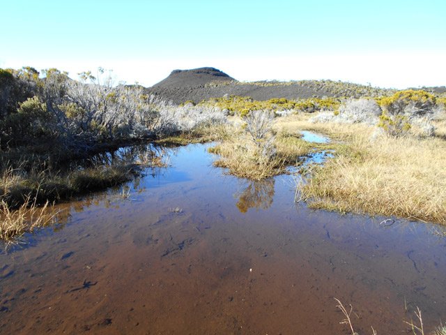 Un passage particulièrement marécageux dans la partie plane de la sortie