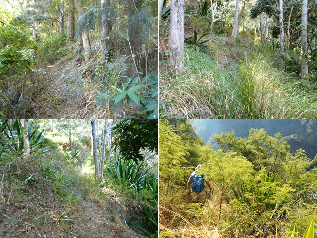 Sentier praticable après 36 ans d'abandon