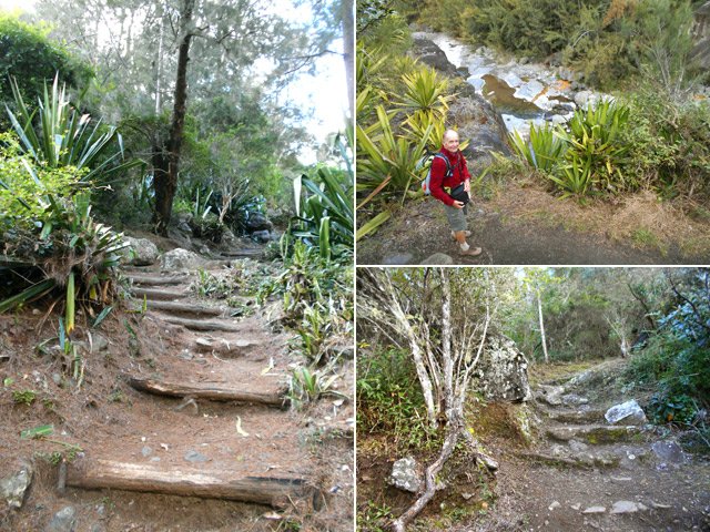 Quelques portions de la descente vers le Bras Rouge