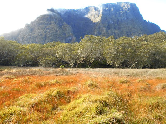 Belles étendues de joncs avec le Gros Morne à l'arrière