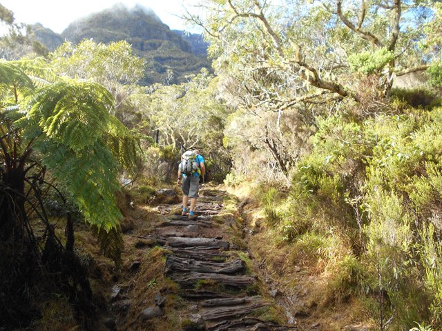 La reprise de la pente marque la fin prochaine la Plaine des Tamarins