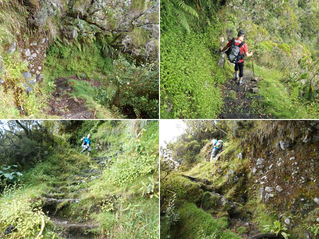 Quelques portions très pentues de la descente du Col de Fourche