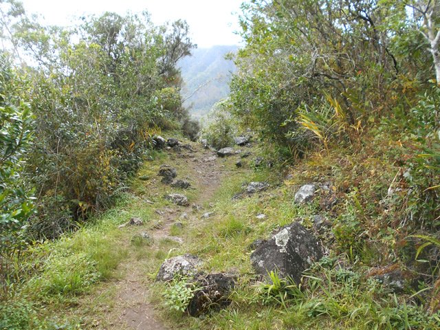 Une idée du sentier qui descend vers la Rivière des Fleurs Jaunes