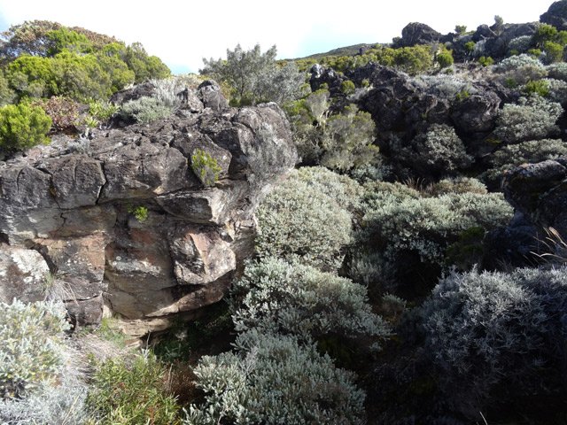On coupe quelques ravines profondes et dangereuses