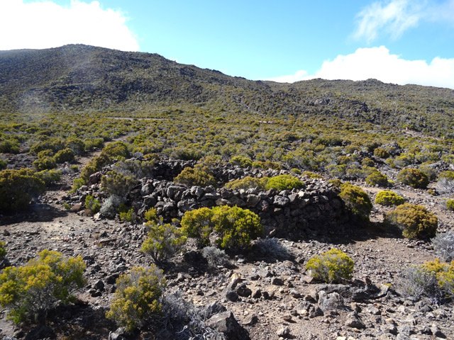 Enclos de murette en pierres sèches idéales pour ...... hélas, jeter ses ordures !!