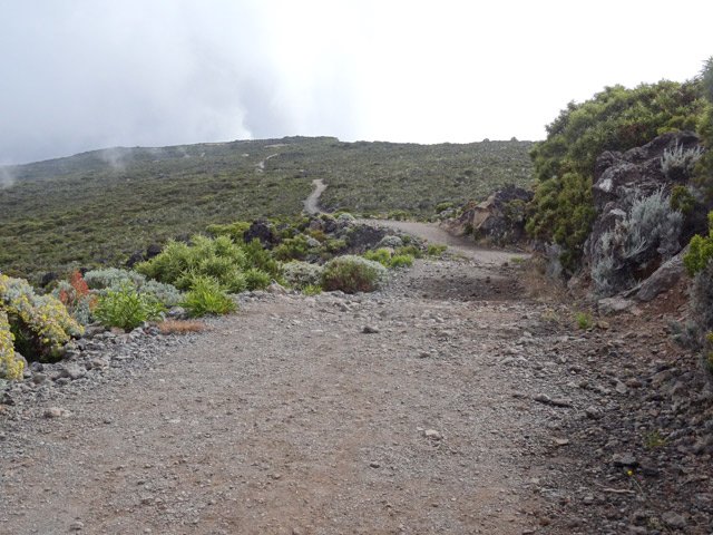 Une bonne idée de la piste qui épouse presque la courbe de niveau