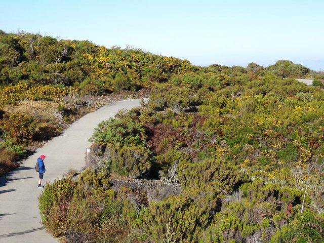 Une idée de la végétation qui borde la piste