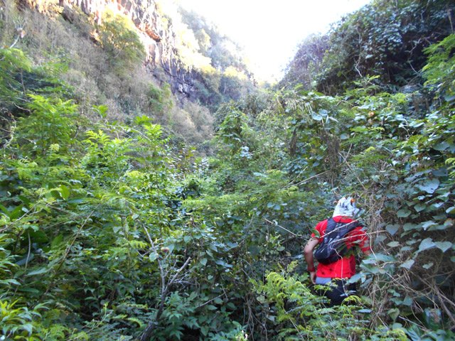 Ça se complique par moments mais on revient sans griffures