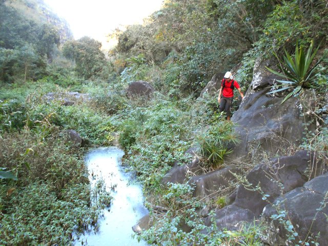 Les eaux des autres bassins sont croupissantes et peu engageantes