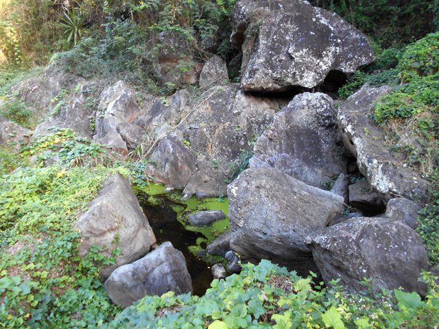 L'eau coule par de minces filets créant une musique agréable