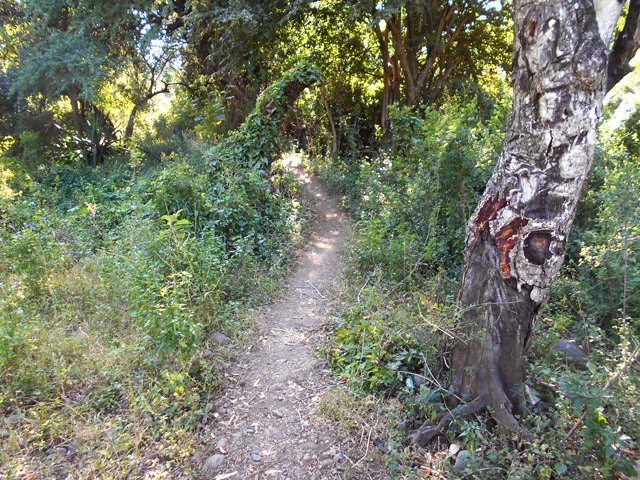 Le sentier à la fin de la piste