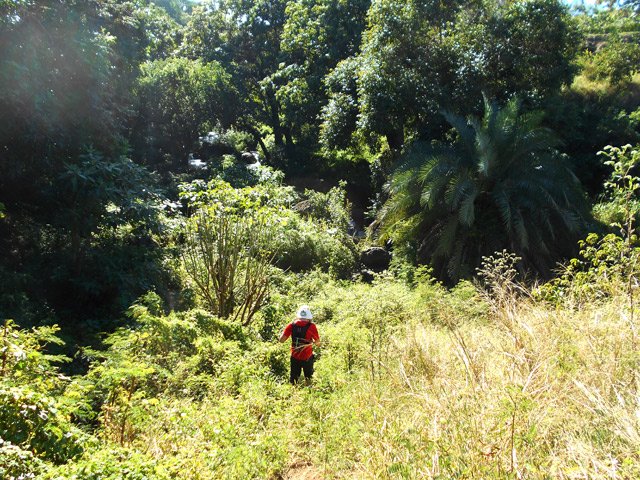Sentier discret du pont jusqu'à la ravine