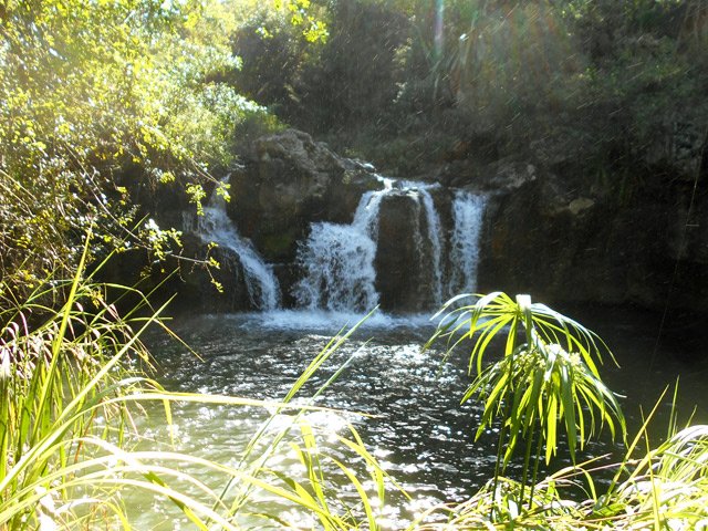 Superbe petite cascade au Bassin le Roche, le premier du parcours