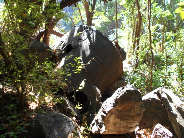 Chaudière à charbon ou à distiller ?