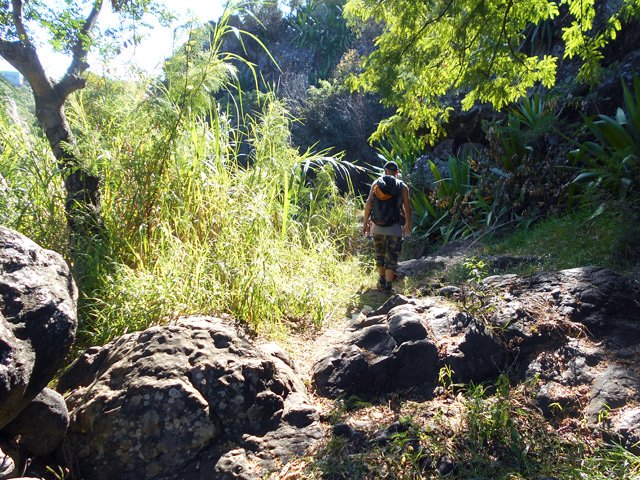 Agréable sentier jusqu'au bassin