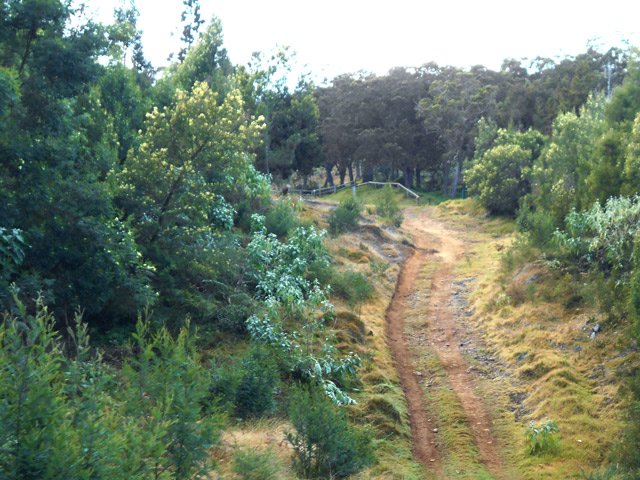 L'arrivée proche au gîte des Tamarins