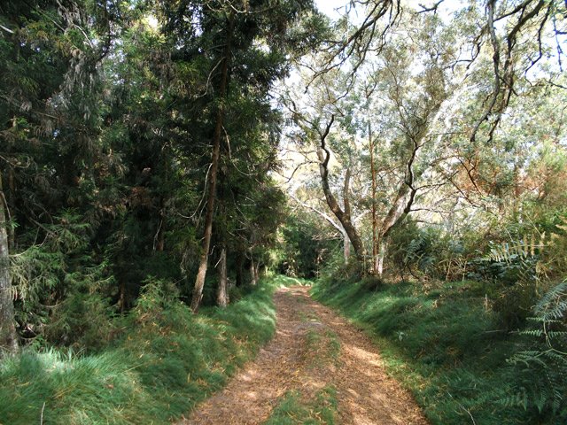 Une agréable portion de piste