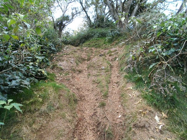 Une vertigineuse descente pour VTT