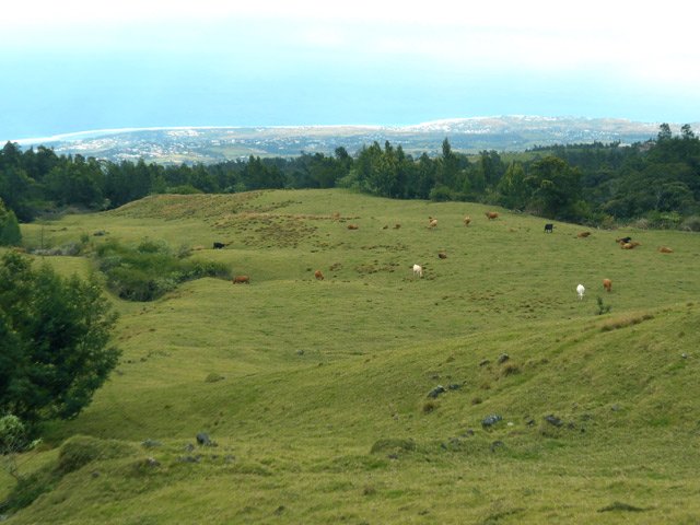 Panoramas sur l'océan depuis les prairies