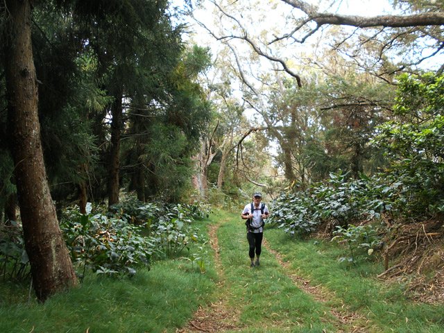 La même piste herbeuse