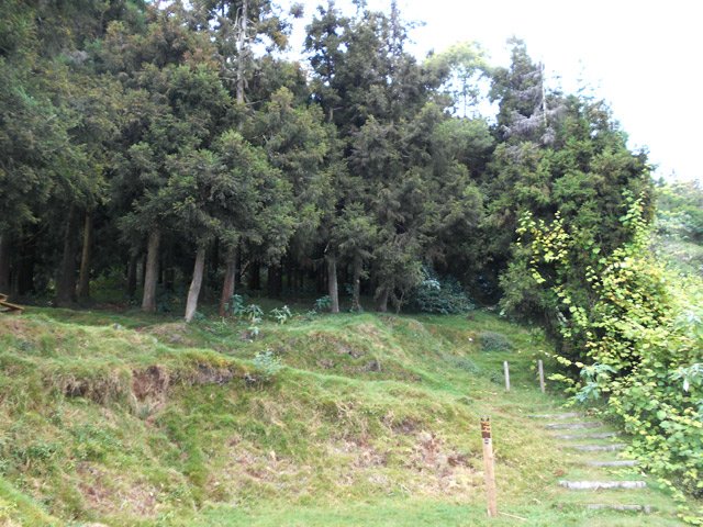 Fin de ligne de la Grande Ravine à la route Vaudeville