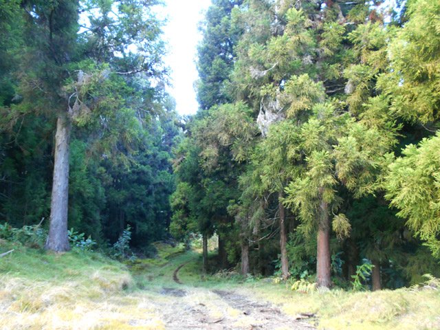 Une agréable partie plate de la piste