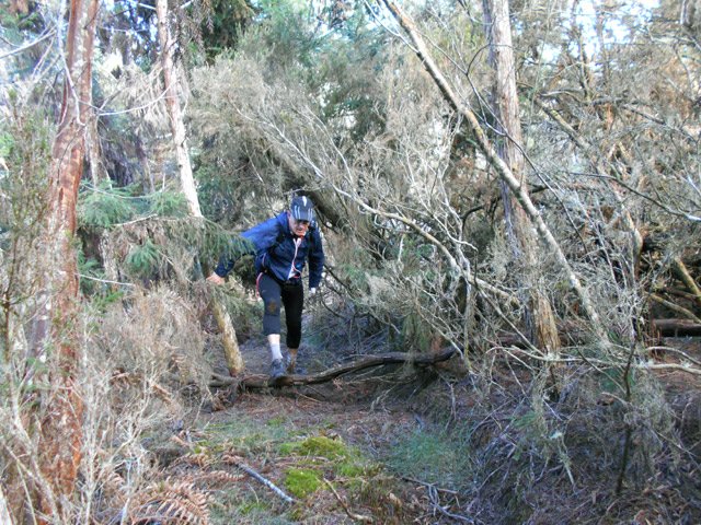 Ici, le sentier est impossible à perdre de vue