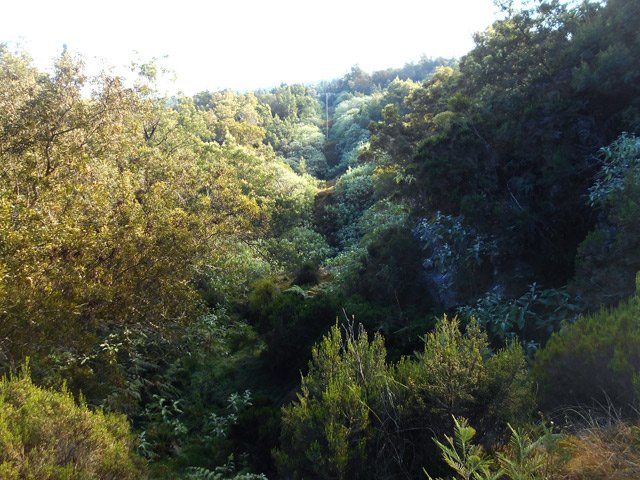 Coup d’œil en arrière pour voir le chemin parcouru sur la ligne domaniale