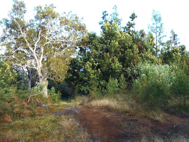 Une large portion de la Ligne de la Grande Ravine