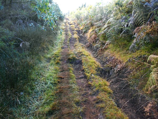 Les pneus de VTT et chaussures ont laissé de longs sillons