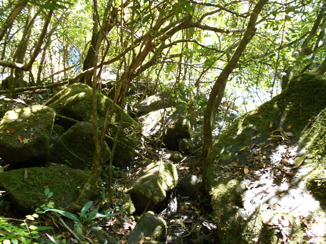 Transition à plat dans les rochers et végétation moussue
