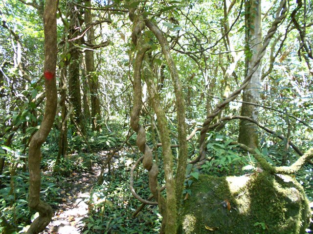 Balade en rive droite de la rivière jusqu'à la centrale hydroélectrique