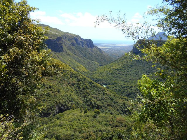 Point de vue sur la vallée de la Rivière Tamarin et l'usine