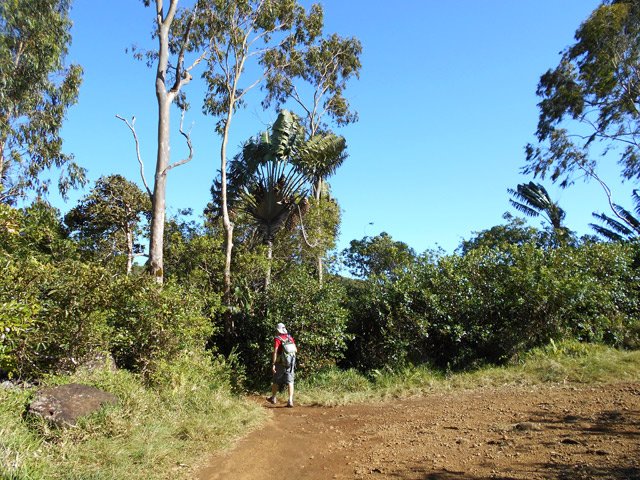 Les différents sentiers se devinent facilement