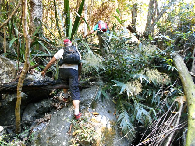Trouver à l'instinct les meilleurs passages lorsqu’il n'y a plus de sentier