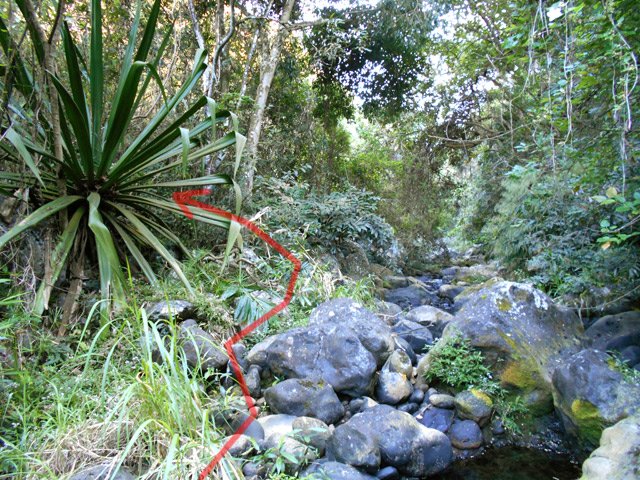 Repérer le sentier qui grimpe au Parc du Gol durant la remontée de la ravine