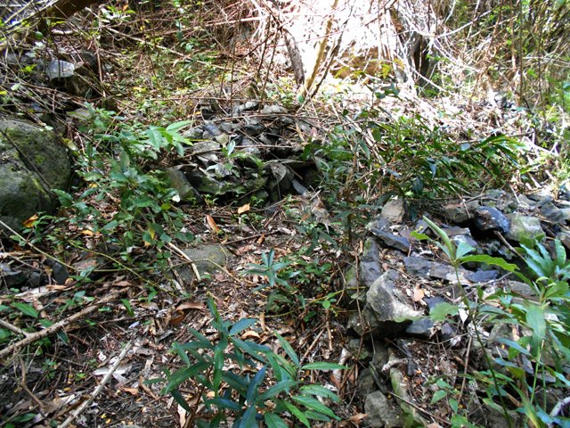 On retrouve plus loin quelques ruines d'un ancien îlet