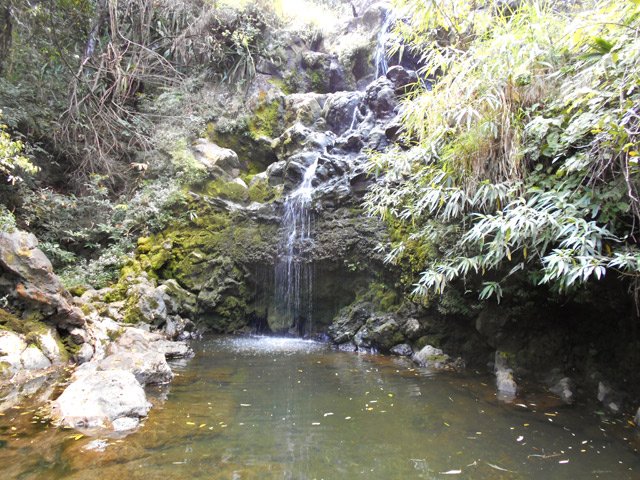 La cascade de la Source Pierre Noël est très belle lorsque la ravine coule à plein régime
