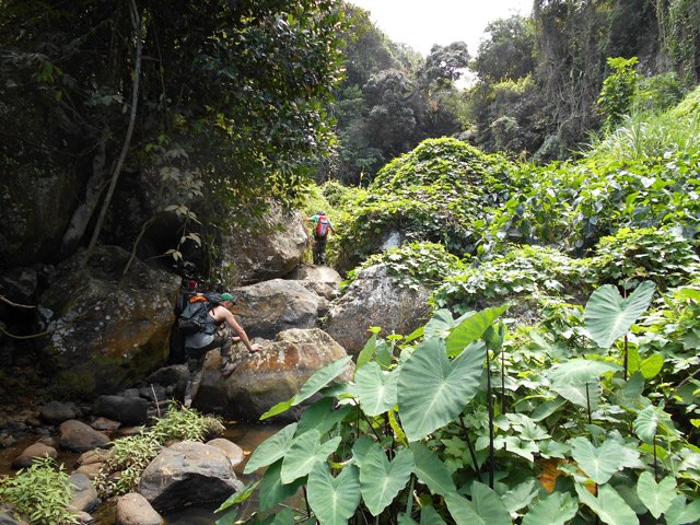 On approche du cul de sac dans une agréable végétation