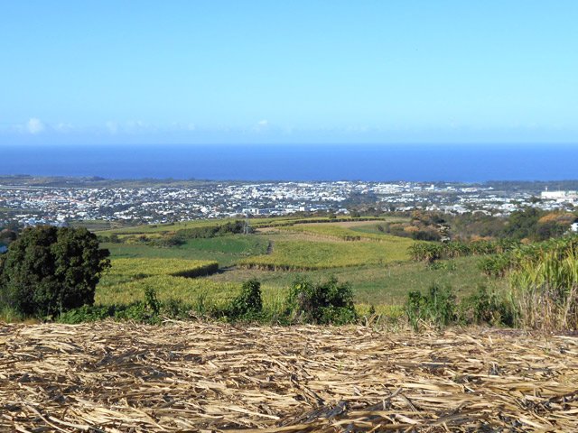 Panoramas sur Saint-Louis grâce à la coupe de canne