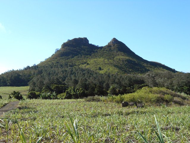 Les Deux Mamelles vues depuis le début de la piste