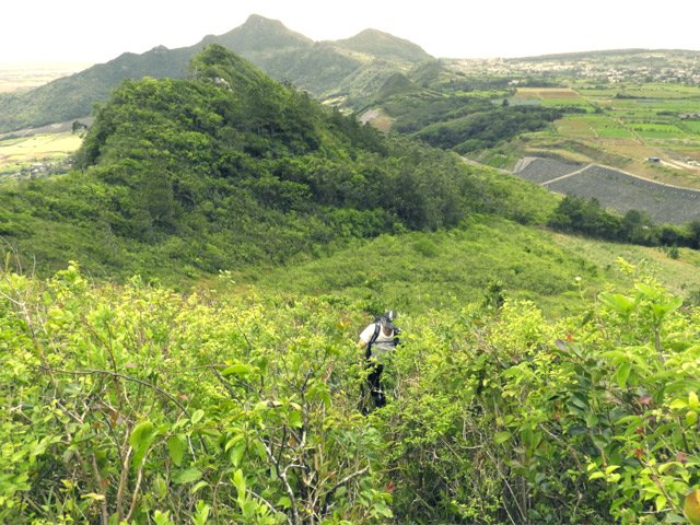 On parvient à un palier en quittant pour un temps les goyaviers