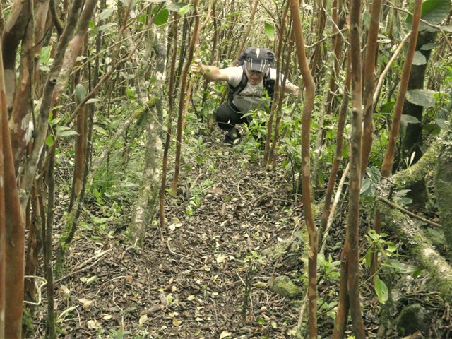 Le sentier est étroit mais ne se perd pas aisément
