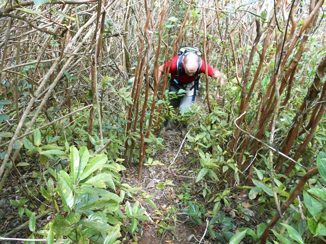 Un pied après l'autre, une main après l'autre, tout le corps est sollicité