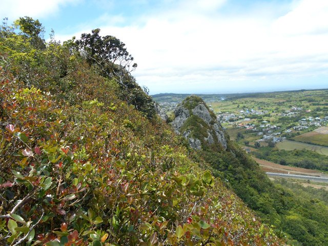 On aperçoit la première mamelle, la voie rapide M3 et La Nouvelle Découverte