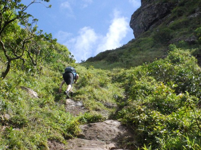 Plus haut les herbes et plantes permettent de se maintenir